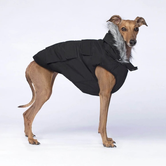 Dog Clothes - Picture 2 of 12